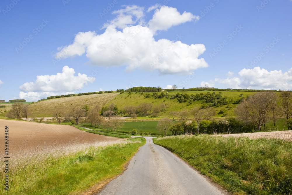 country road and meadows