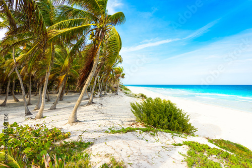 Fototapeta Naklejka Na Ścianę i Meble -  Paradise beach at caribbean coast of Mexico - tropical destination for vacation - relaxing and recreation in paradise