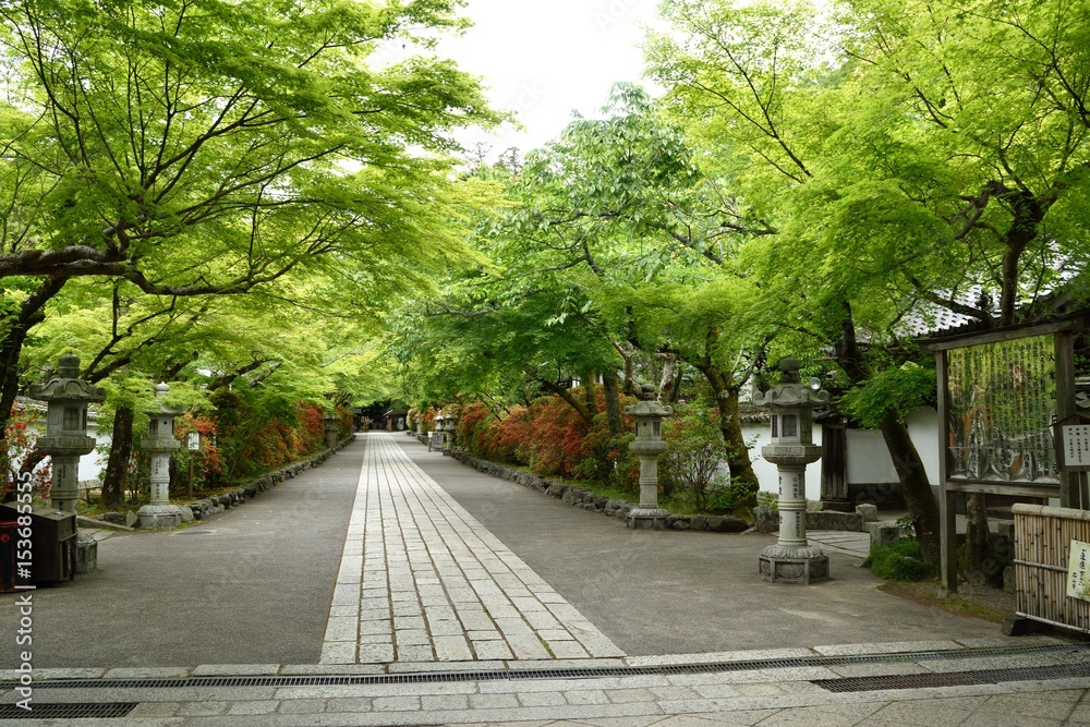 新緑の石山寺参道