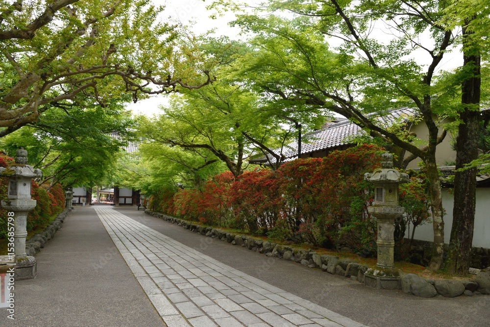 新緑の石山寺参道