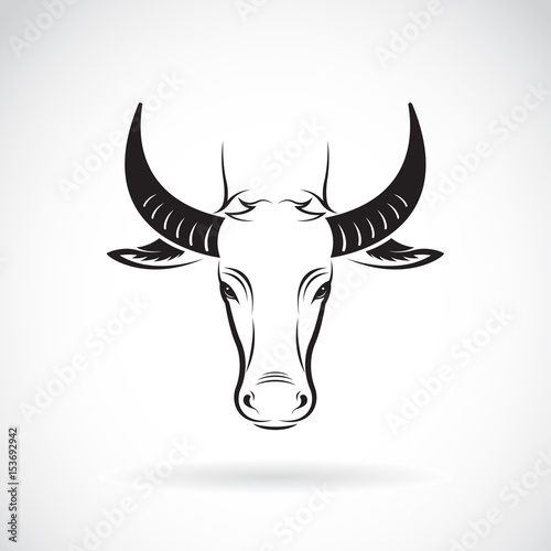 Vector of a buffalo head on white background. Wild Animals.