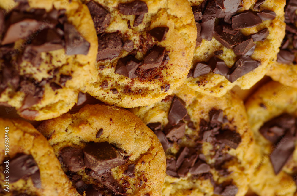Delicious freshly baked cookies with chocolate chip Delicious freshly baked cookies with chocolate chip