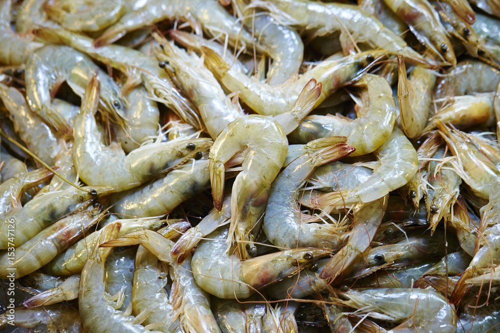 prawns