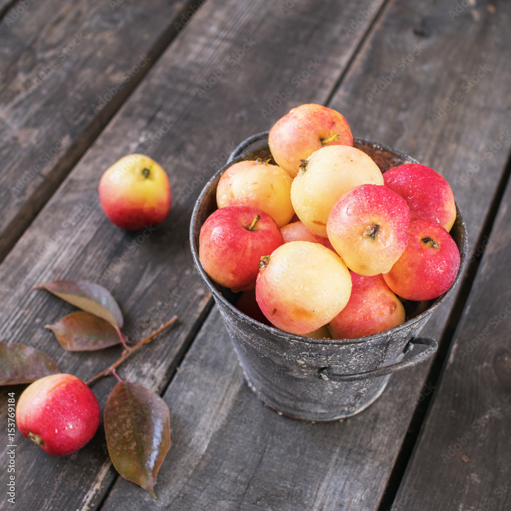Fresh ripe apples in a small bucket on a background of aged wood Fresh ripe apples in a small bucket on a background of aged wood