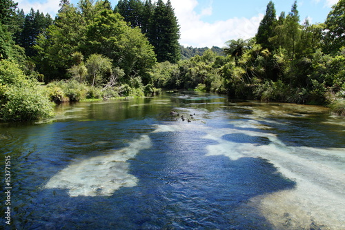 Hamurana Springs NZ photo
