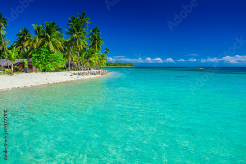Fototapeta Naklejka Na Ścianę i Meble -  Tropical island in Fiji, palm trees and the beach