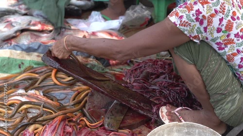 Mandalay, Woman fillets fish on the ground at the fish market photo