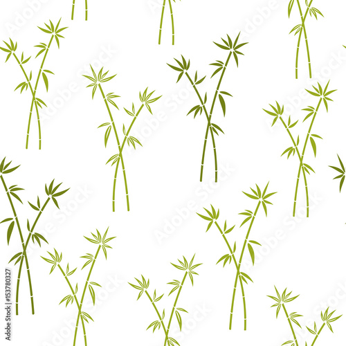 Seamless pattern with green bamboo. Vector pattern for cushion, pillow, bandanna, kerchief, shawl fabric print. Texture for clothes and bedclothes.