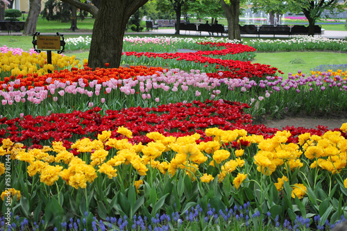 City Park: flowers and trees