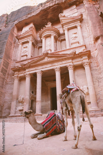 Camels in front of Treasury. Petra, Jordan.