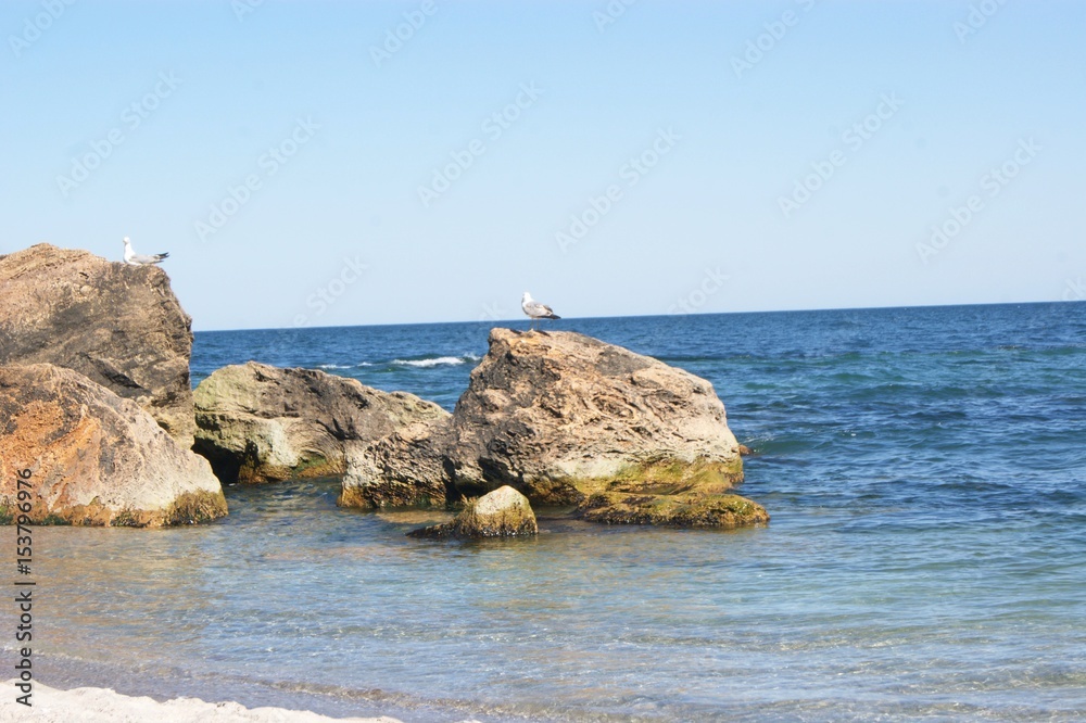 Beach stones on the seashore, seagulls