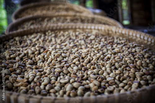 Coffee Luwak, Indonesia