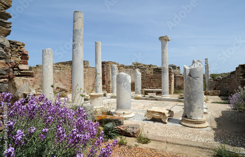 La Maison du Lac du site archéologique de Délos en Grèce