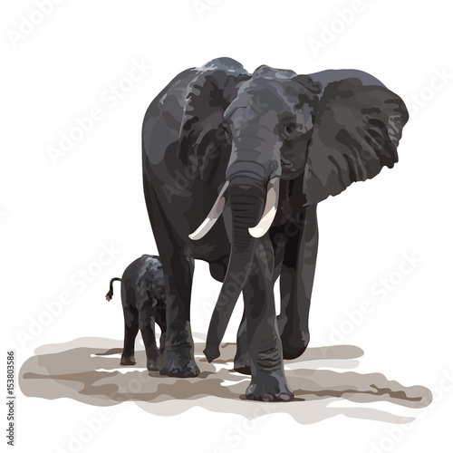 éléphant