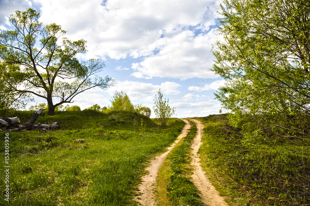 Country road through the field.