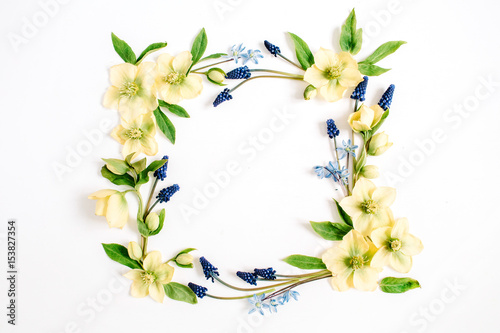 Frame wreath made of hellebore flower, muscari flower and leaf on white background. Flat lay, top view. Blog, social media or website background.