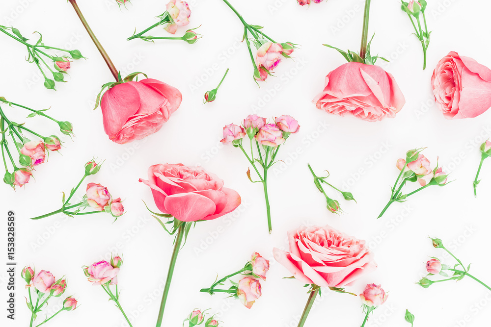 Pattern of pink roses, buds and leaves on white background. Flat lay, top view. Floral pattern
