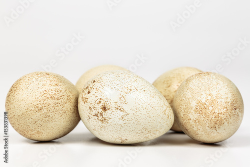 Partridge eggs on white  with blank space at top
