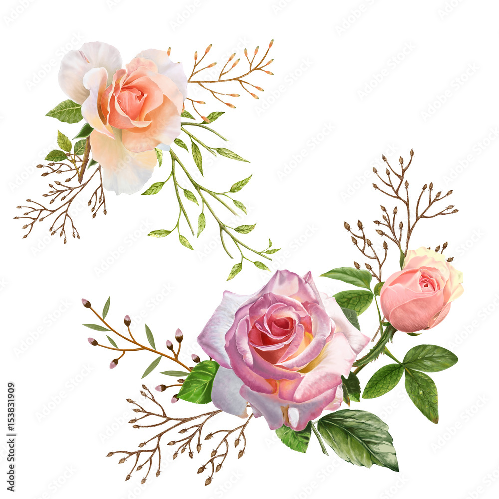 illustration of animal and flower on white background