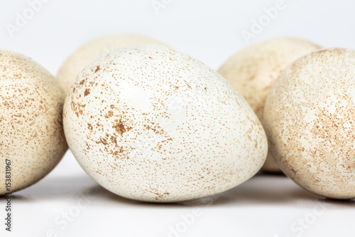 Close-up of partridge egg surrounded by other eggs