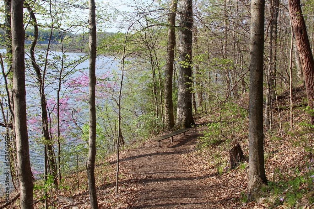 The nature trail next to the lake in the woods. The nature trail next to the lake in the woods.