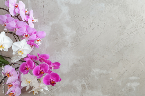 Textured background with variety of phalaenopsis flowers