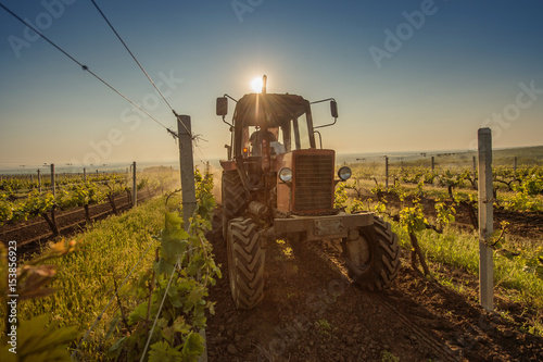 Working machines on the grape field