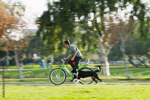 Border Collie Running with Cycling Owner © eldadcarin