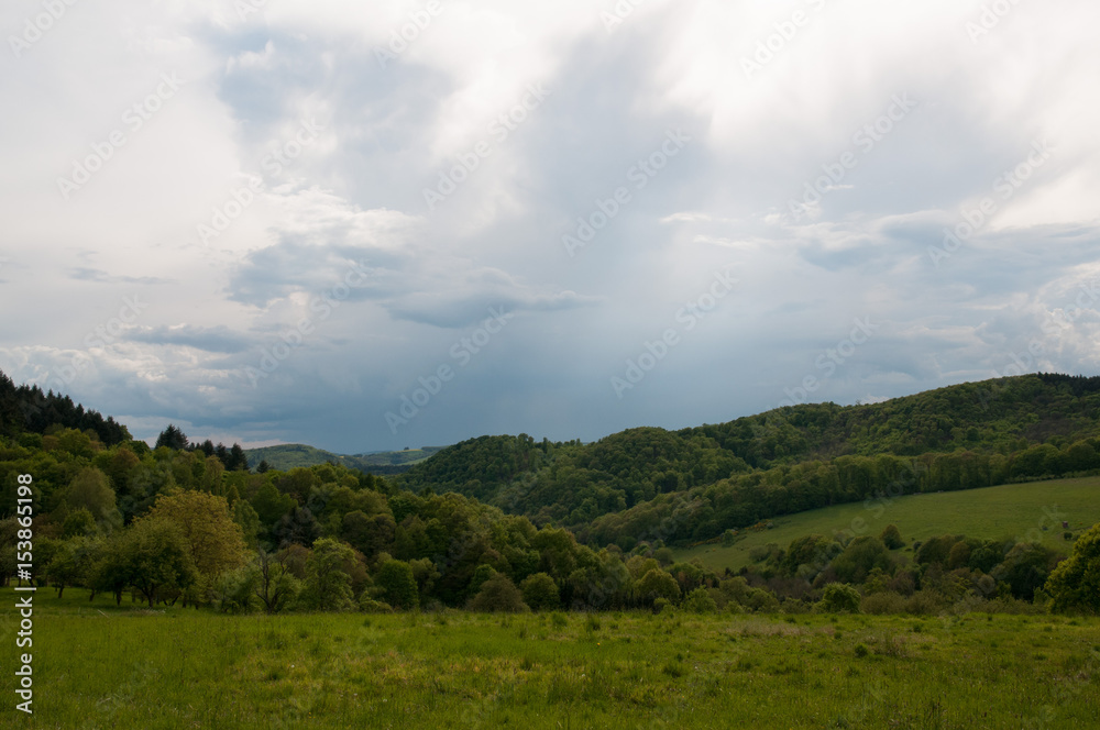 Fototapeta premium wald und wiesen