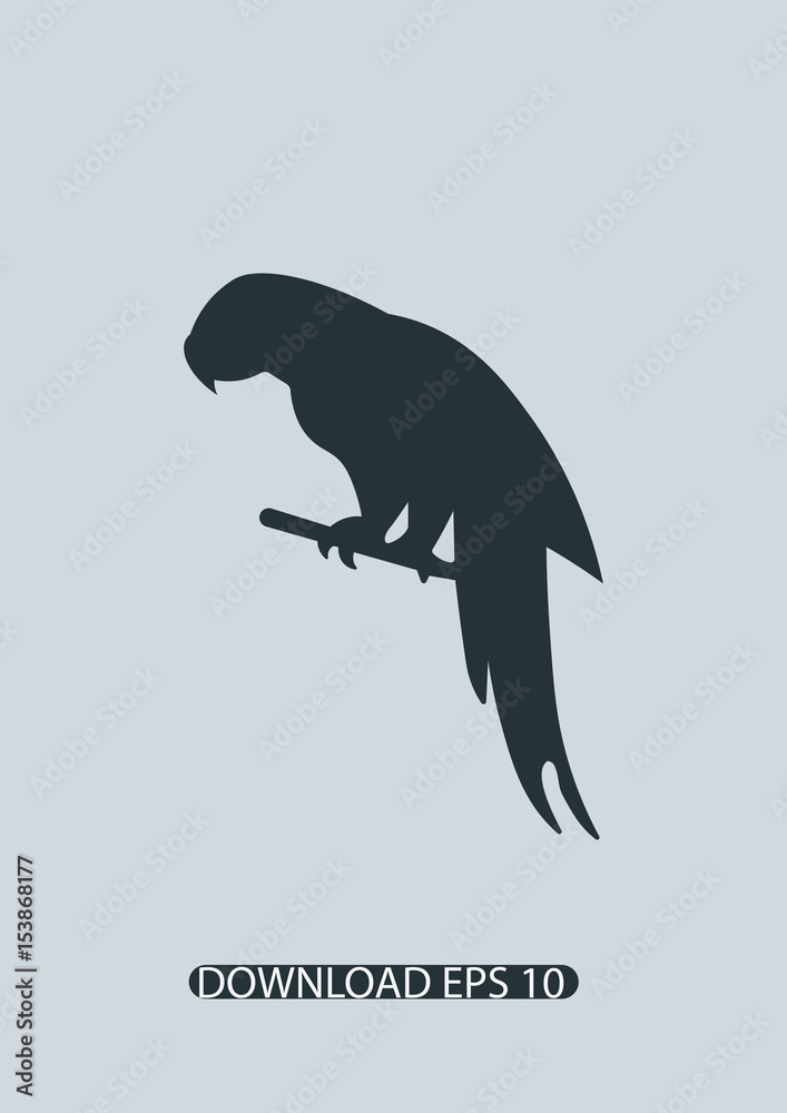 Parrot icon, Vector
