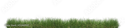 Green grass isolated.