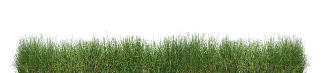 Green grass isolated.