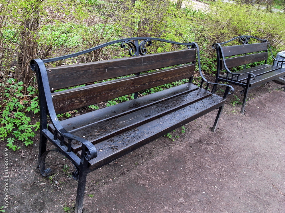 In the park. Benches in the park. Spring. Rest in the park. In the park. Benches in the park. Spring. Rest in the park.