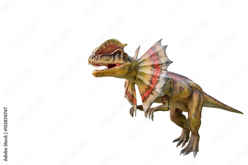 Obraz premium Dilofozaur dinozaurów i model potwora Pojedyncze białe tło