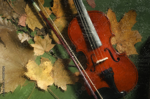 Violin and autumn leaves photo