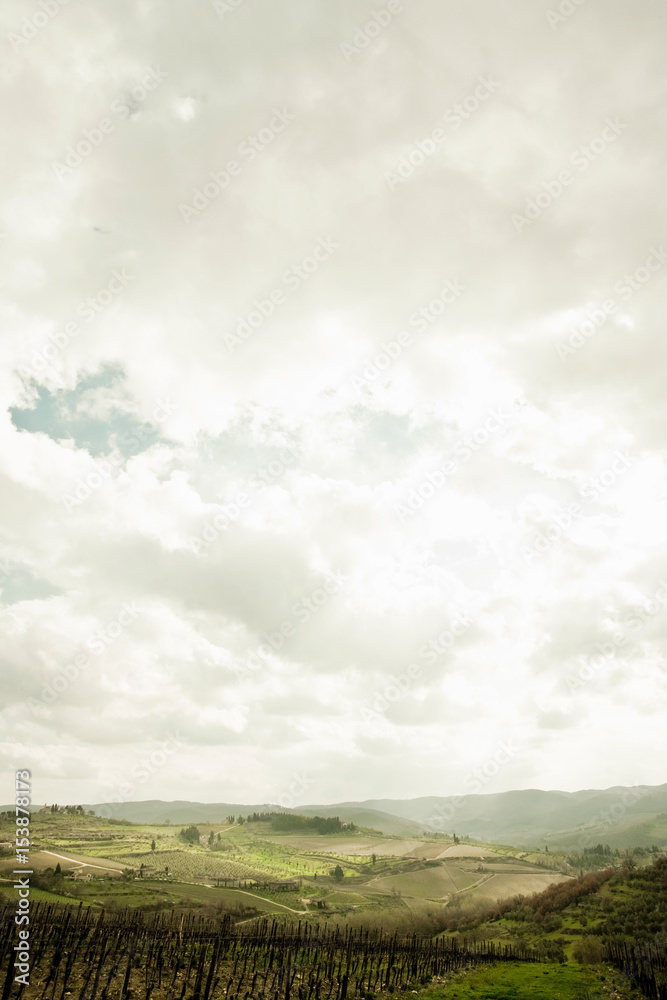 Empty vineyard under cloudy sky Empty vineyard under cloudy sky