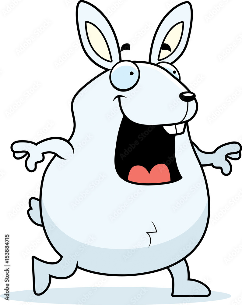 Fototapeta premium Rabbit Walking