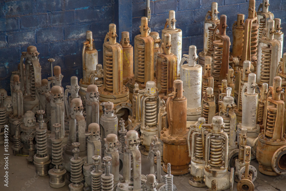 Fototapeta premium Valvula