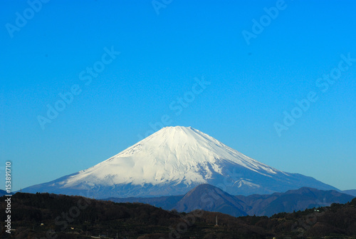 吾妻山の富士山と菜の花