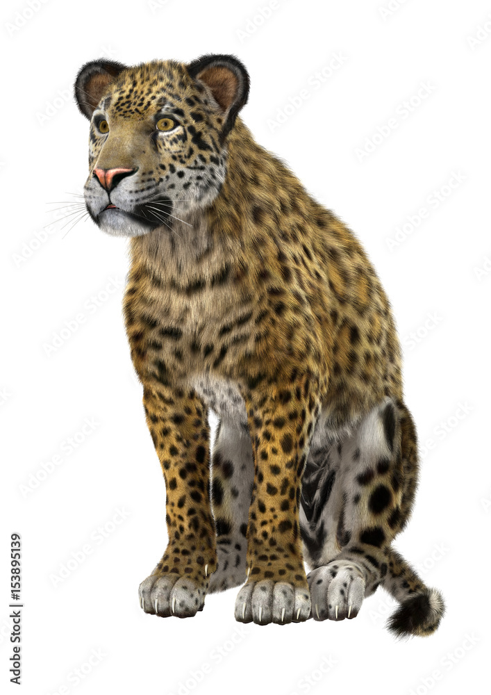 Fototapeta premium 3D Rendering Big Cat Jaguar on White
