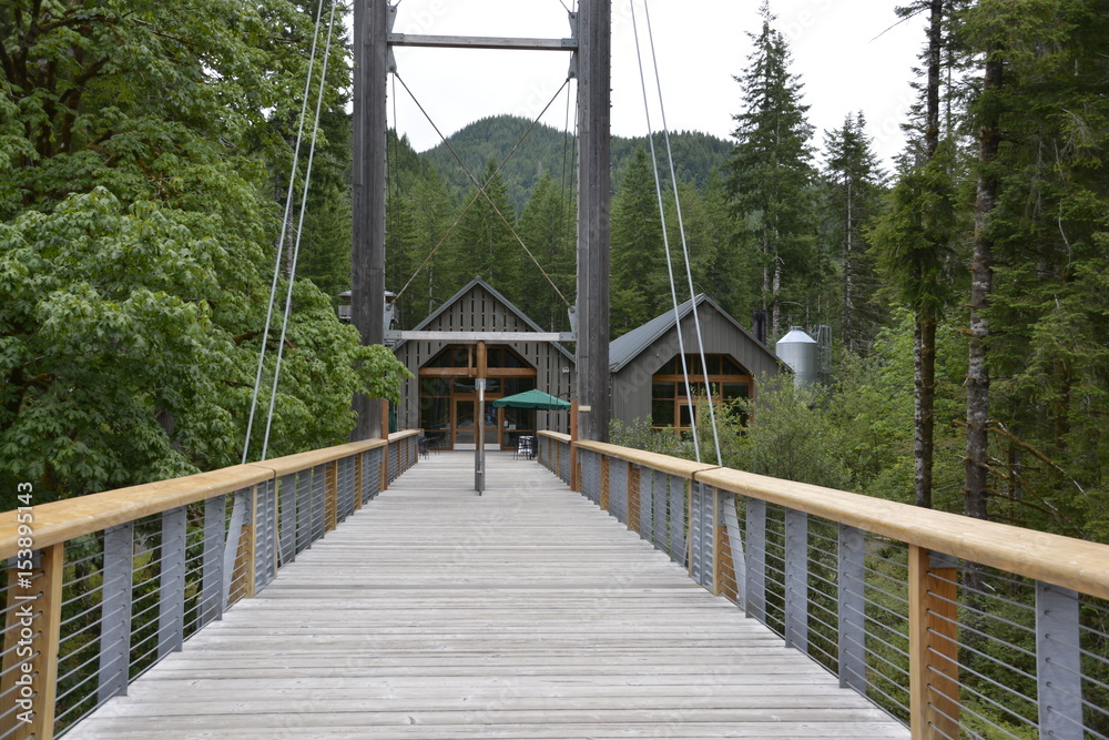 Fototapeta premium Bridge