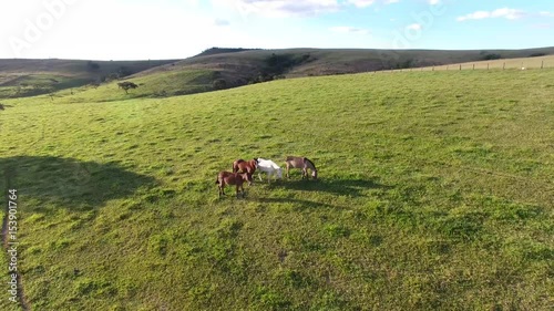 Cavalos Paisagem
