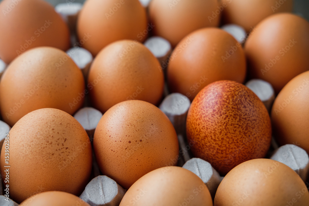 Brown chicken eggs in a carton grid