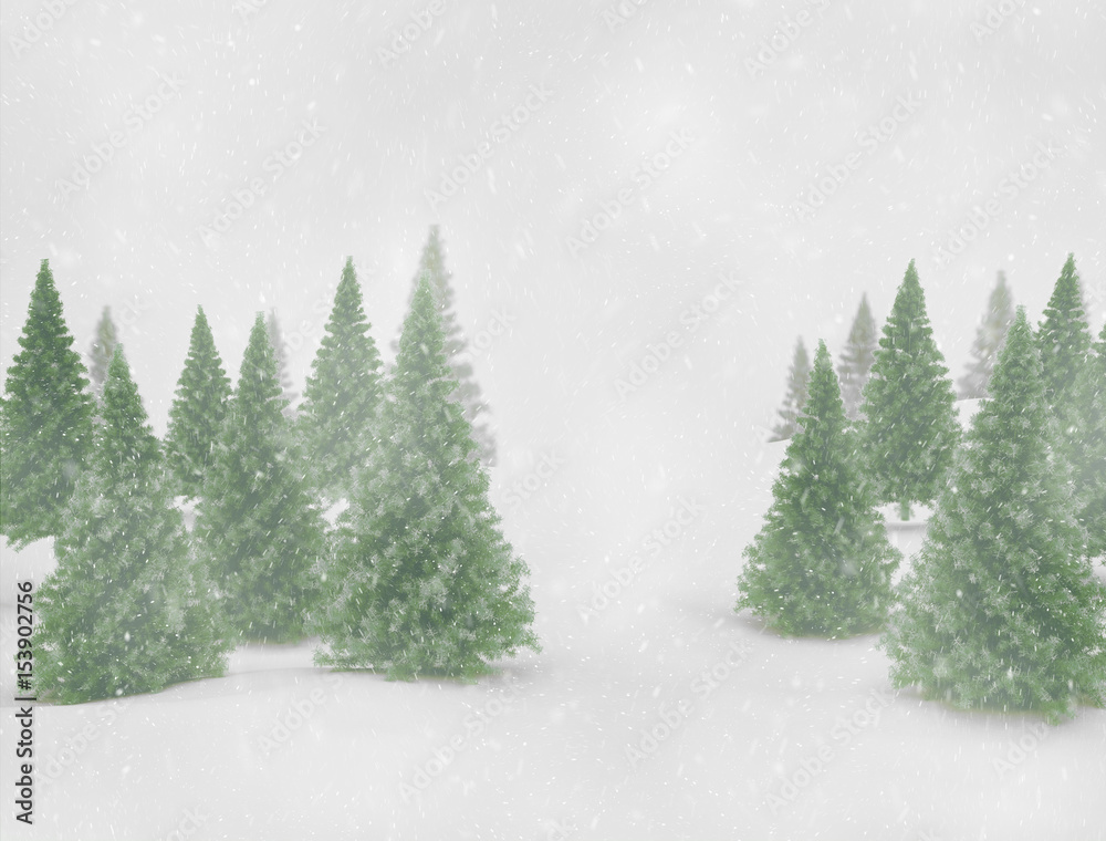 Winter landscape green pine trees and snow 