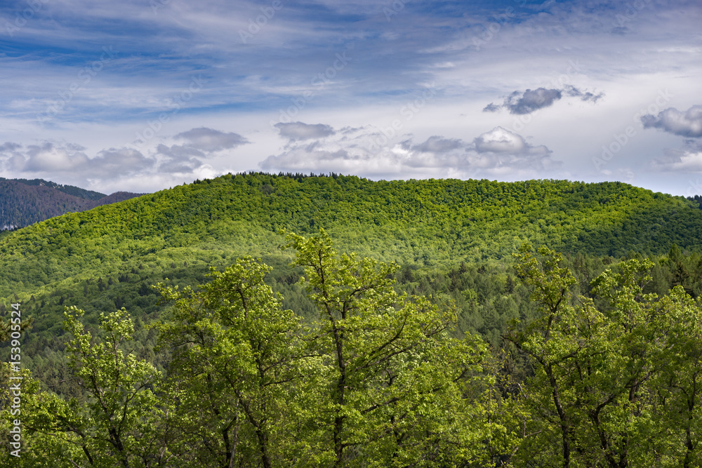 Beautiful spring mountain landscape in a sunny day, with scattered clouds