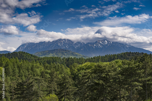 Picturesque view of the Bucegi mountains (Brasov, Romania) with an old pine forest in the foreground, in May, on a cloudy day © Creatikon Studio