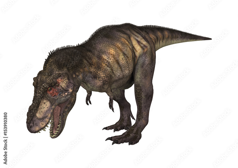 Fototapeta premium 3D renderowania tyranozaura dinozaura na białym tle
