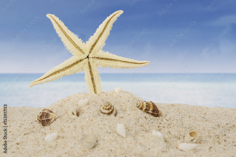 Starfish with seashell on beach Starfish with seashell on beach