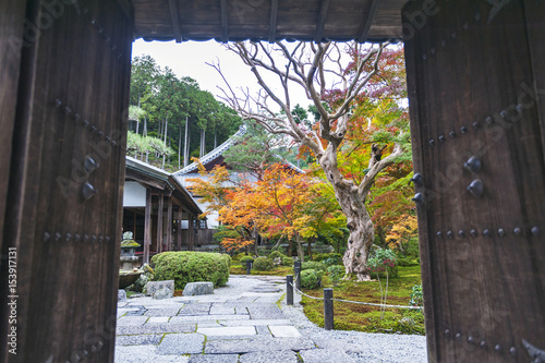 Entrance door to beautiful Japanese maple garden during autumn at Enkoji Temple in Kyoto, Japan photo