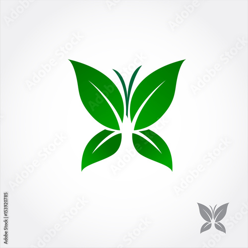 green leaf butterfly